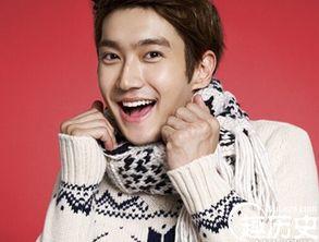 崔始源的背景,韩流巨星的多面人生与辉煌成就