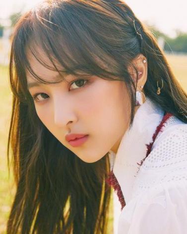 bvndit成员资料,揭秘团队背后的故事与成就”